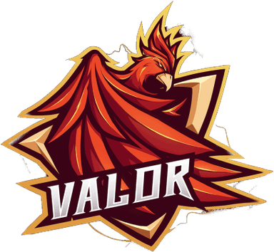 Team Valor